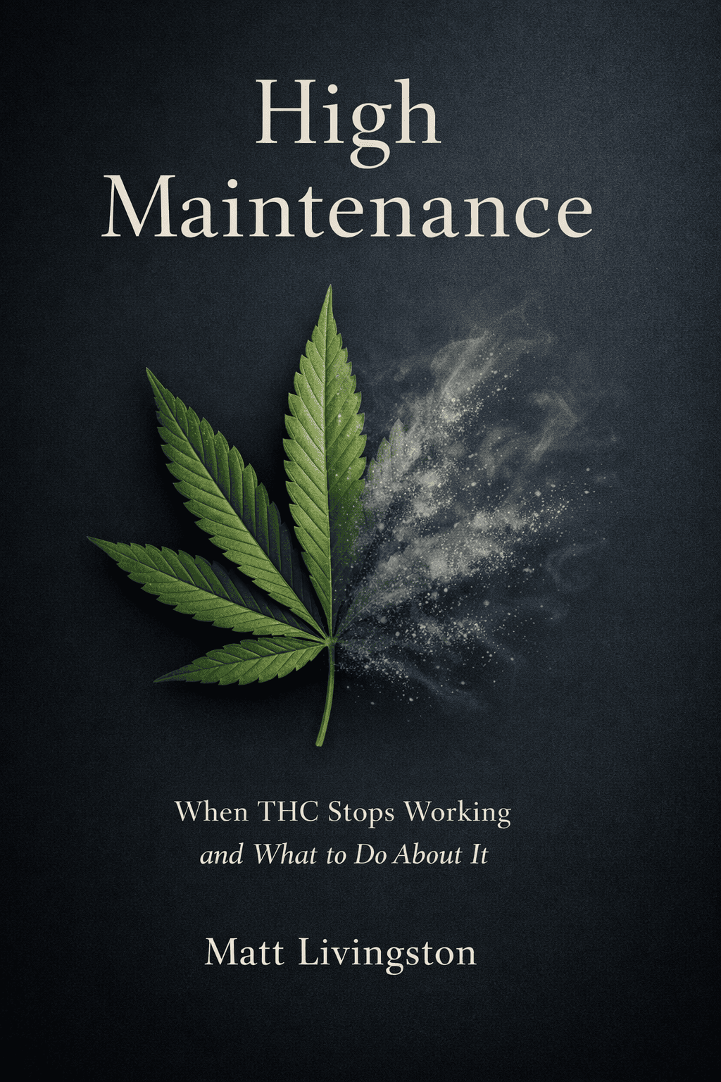 High Maintenance book cover